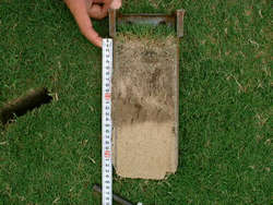 芝生床土断面の調査