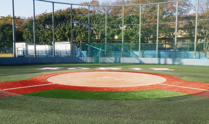 人気の 日本大学 野球 ボール