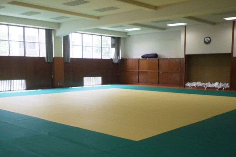 170HP_jyudo-tatami01