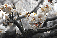 20060227 (6)