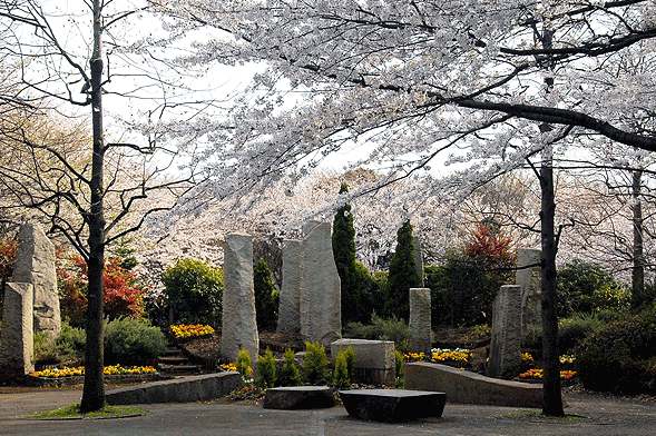 20060402 (3)