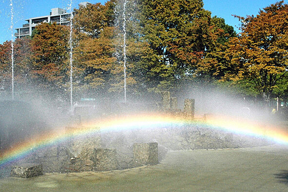 20111130 (1)