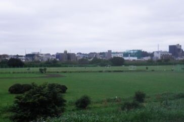 20200727_2